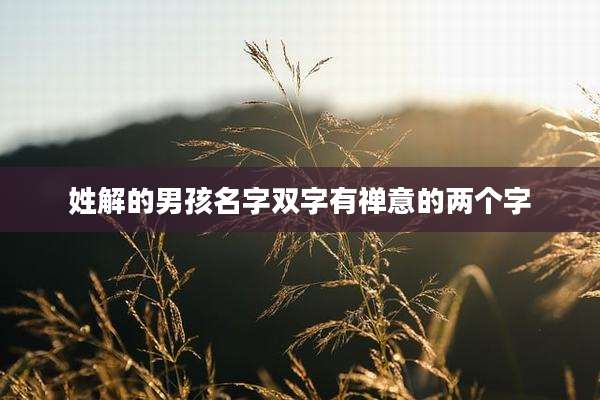 姓解的男孩名字双字有禅意的两个字