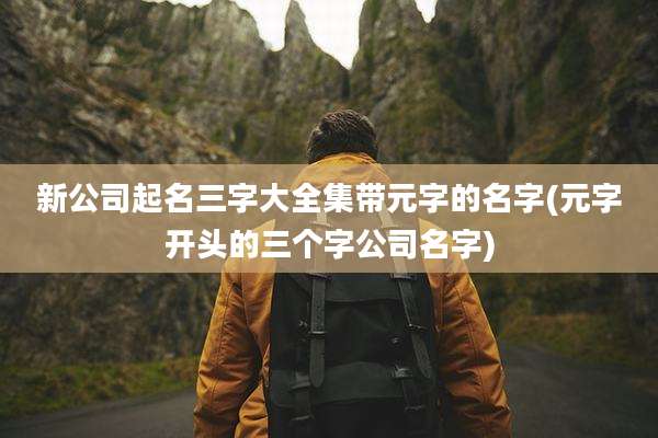新公司起名三字大全集带元字的名字(元字开头的三个字公司名字)