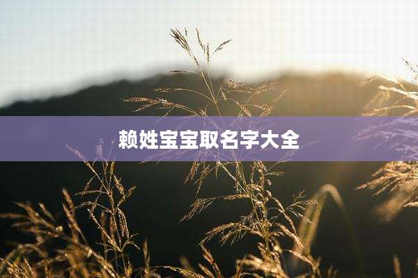 赖姓宝宝取名字大全