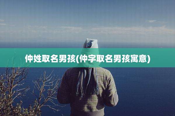 仲姓取名男孩(仲字取名男孩寓意)