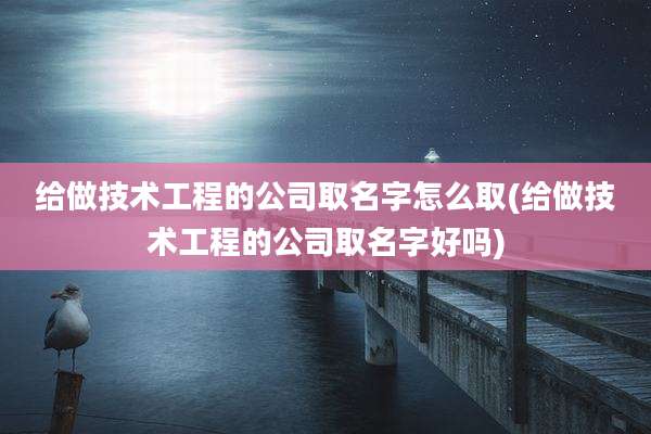给做技术工程的公司取名字怎么取(给做技术工程的公司取名字好吗)