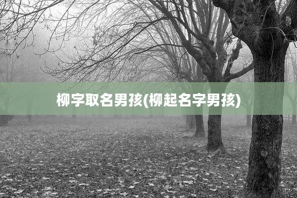 柳字取名男孩(柳起名字男孩)