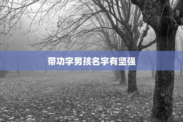 带功字男孩名字有坚强
