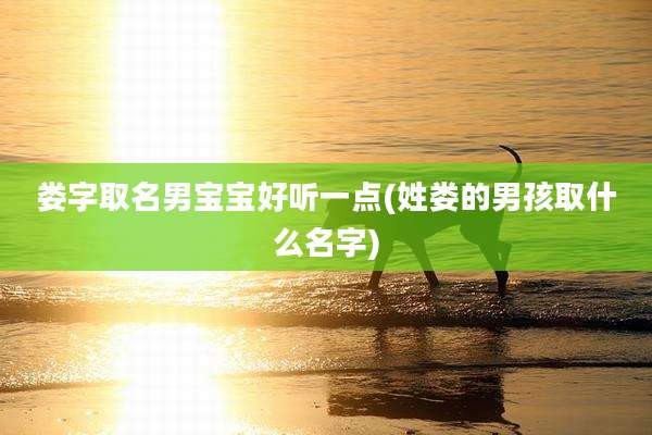 娄字取名男宝宝好听一点(姓娄的男孩取什么名字)