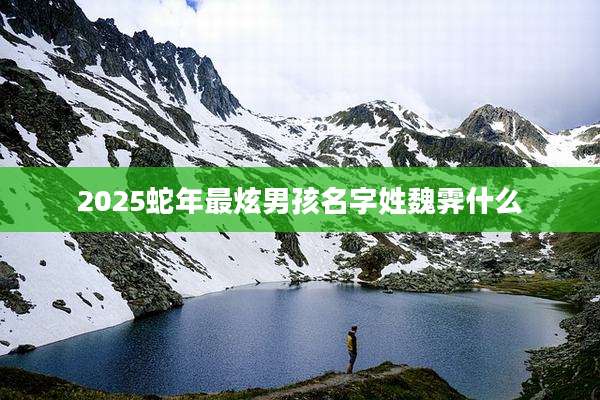 2025蛇年最炫男孩名字姓魏霁什么