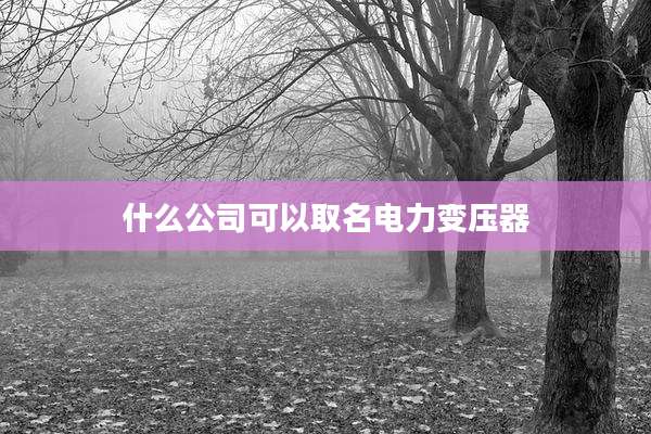 什么公司可以取名电力变压器