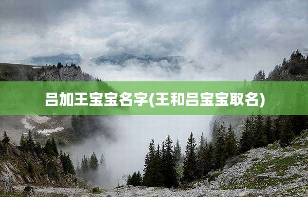 吕加王宝宝名字(王和吕宝宝取名)