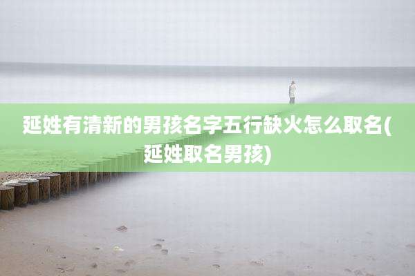 延姓有清新的男孩名字五行缺火怎么取名(延姓取名男孩)