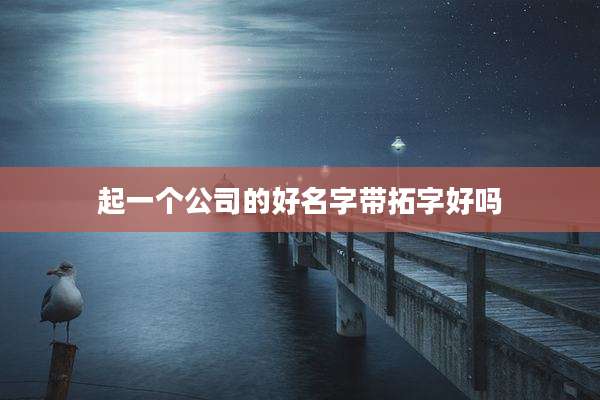 起一个公司的好名字带拓字好吗