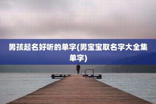 男孩起名好听的单字(男宝宝取名字大全集单字)