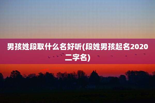 男孩姓段取什么名好听(段姓男孩起名2020二字名)