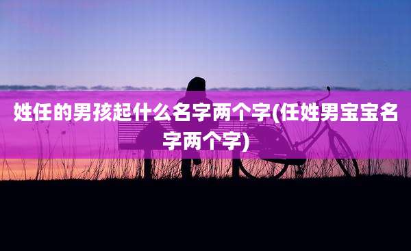 姓任的男孩起什么名字两个字(任姓男宝宝名字两个字)