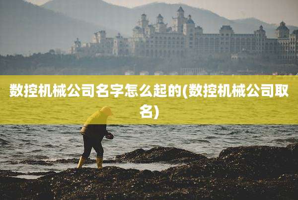 数控机械公司名字怎么起的(数控机械公司取名)