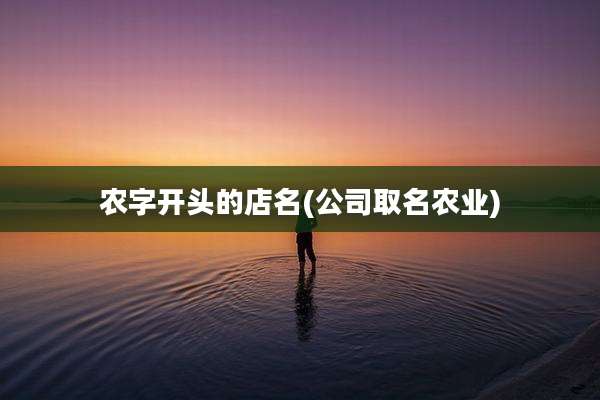 农字开头的店名(公司取名农业)