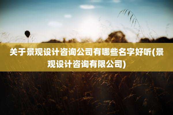 关于景观设计咨询公司有哪些名字好听(景观设计咨询有限公司)