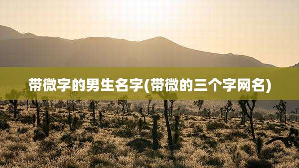 带微字的男生名字(带微的三个字网名)