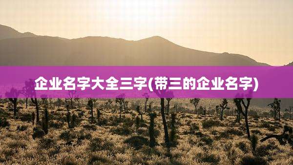 企业名字大全三字(带三的企业名字)
