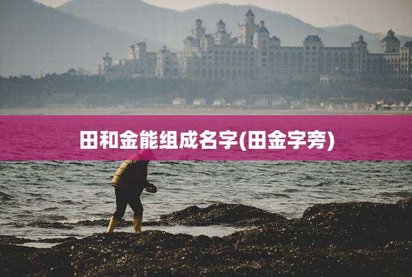 田和金能组成名字(田金字旁)
