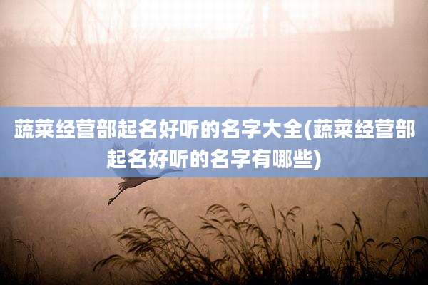 蔬菜经营部起名好听的名字大全(蔬菜经营部起名好听的名字有哪些)