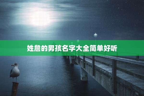 姓詹的男孩名字大全简单好听