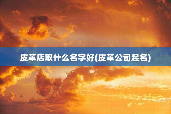 皮革店取什么名字好(皮革公司起名)