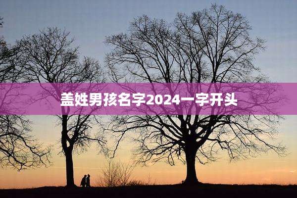 盖姓男孩名字2024一字开头