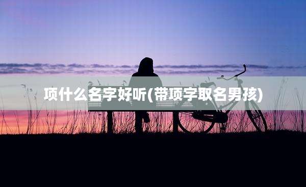项什么名字好听(带项字取名男孩)