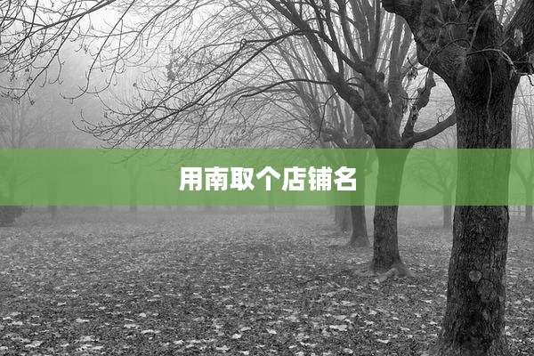 用南取个店铺名