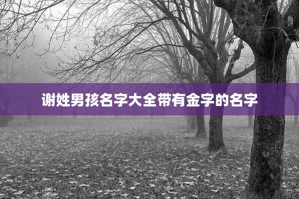 谢姓男孩名字大全带有金字的名字