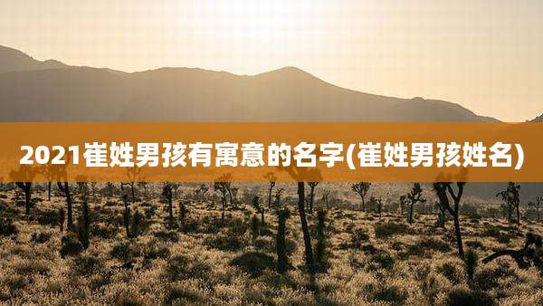 2021崔姓男孩有寓意的名字(崔姓男孩姓名)
