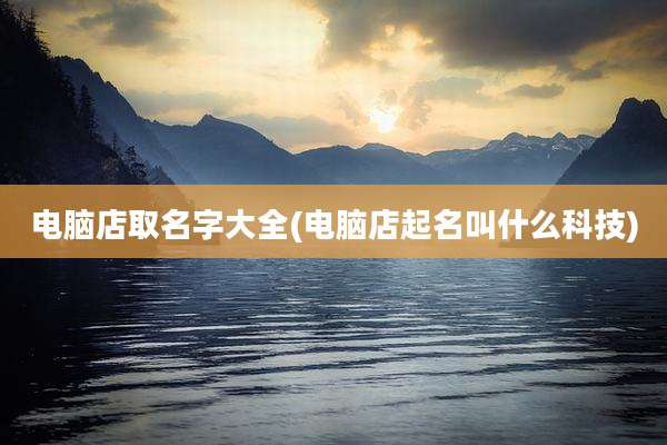 电脑店取名字大全(电脑店起名叫什么科技)