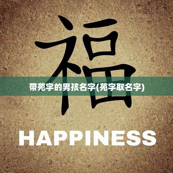 带苑字的男孩名字(苑字取名字)