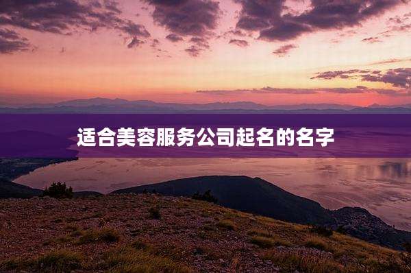 适合美容服务公司起名的名字