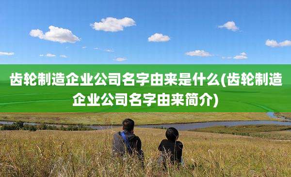 齿轮制造企业公司名字由来是什么(齿轮制造企业公司名字由来简介)