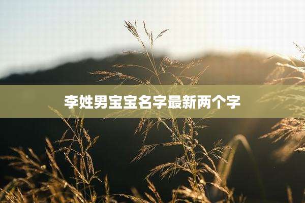 李姓男宝宝名字最新两个字