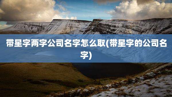 带星字两字公司名字怎么取(带星字的公司名字)