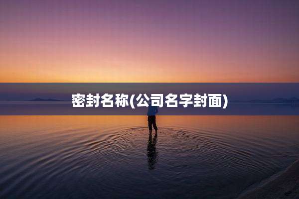 密封名称(公司名字封面)