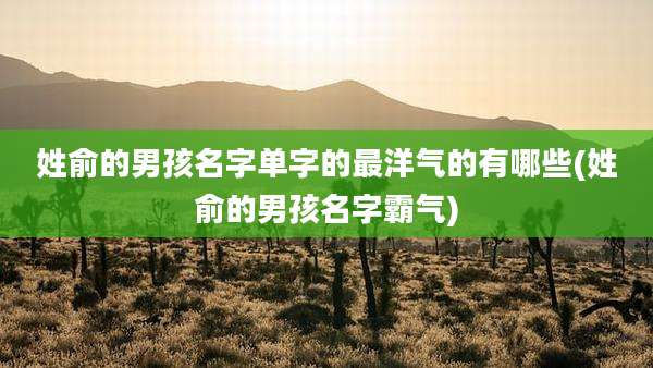 姓俞的男孩名字单字的最洋气的有哪些(姓俞的男孩名字霸气)