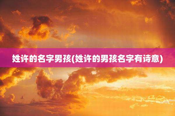 姓许的名字男孩(姓许的男孩名字有诗意)