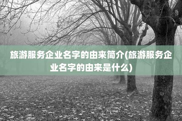 旅游服务企业名字的由来简介(旅游服务企业名字的由来是什么)