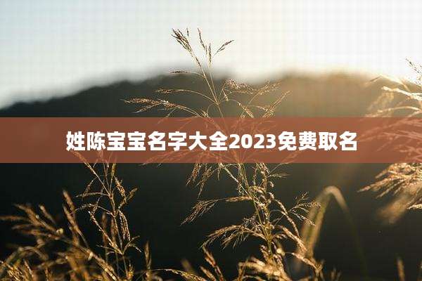 姓陈宝宝名字大全2023免费取名