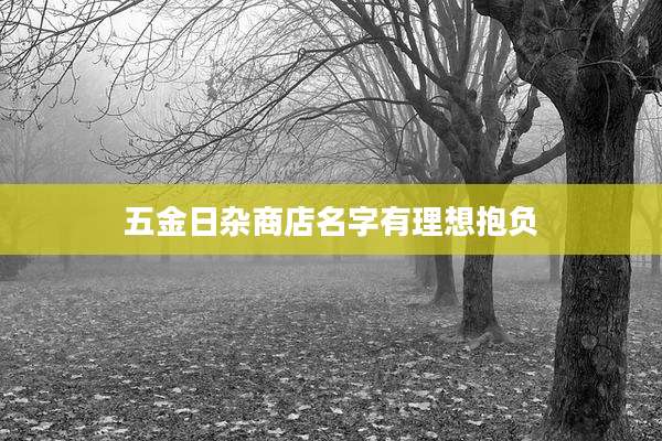 五金日杂商店名字有理想抱负