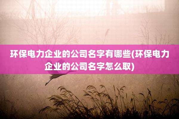 环保电力企业的公司名字有哪些(环保电力企业的公司名字怎么取)