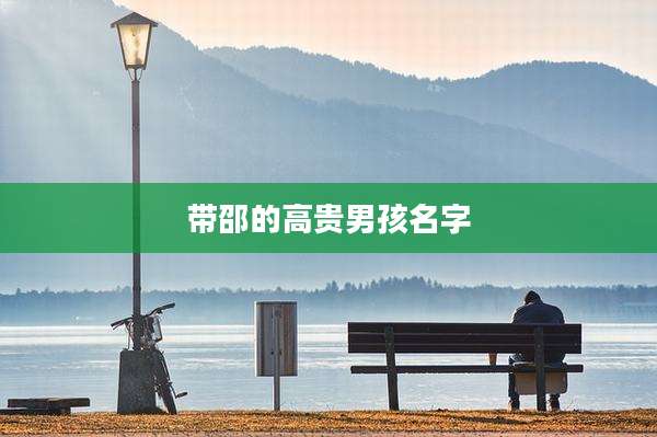 带邵的高贵男孩名字