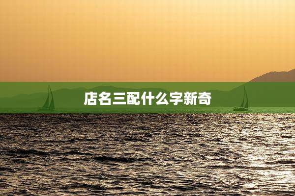 店名三配什么字新奇