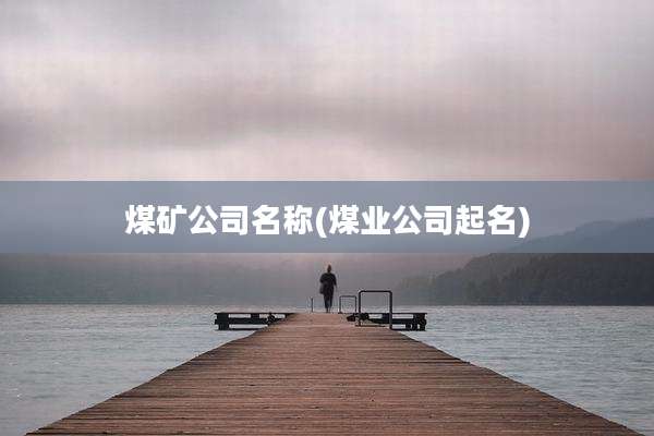 煤矿公司名称(煤业公司起名)