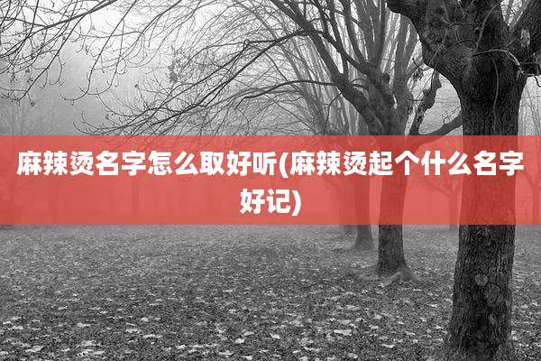 麻辣烫名字怎么取好听(麻辣烫起个什么名字好记)