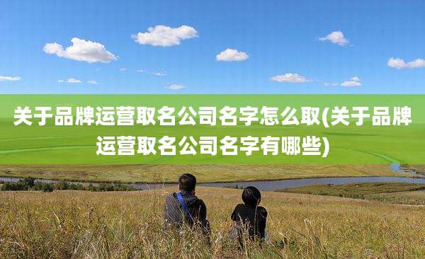 关于品牌运营取名公司名字怎么取(关于品牌运营取名公司名字有哪些)