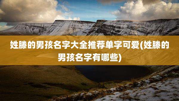姓滕的男孩名字大全推荐单字可爱(姓滕的男孩名字有哪些)
