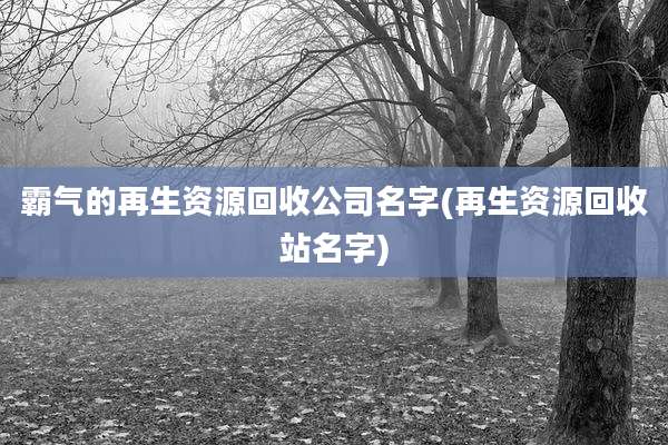 霸气的再生资源回收公司名字(再生资源回收站名字)